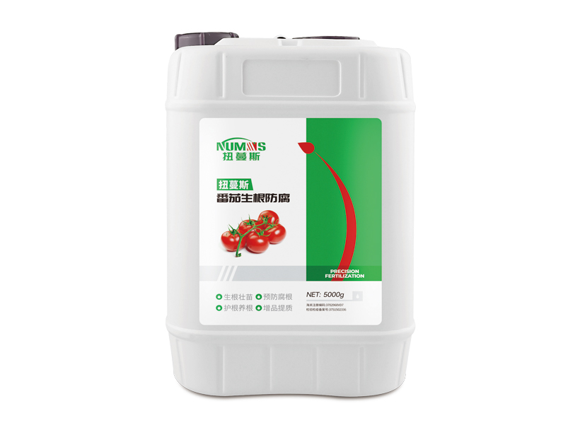 5kg扭蔓斯番茄生根防腐.jpg